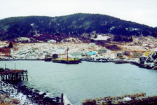 508: View looking northwest across Red Island harbour. (circa 2000) [courtesy of Madonna (Bishop) Mulrooney]